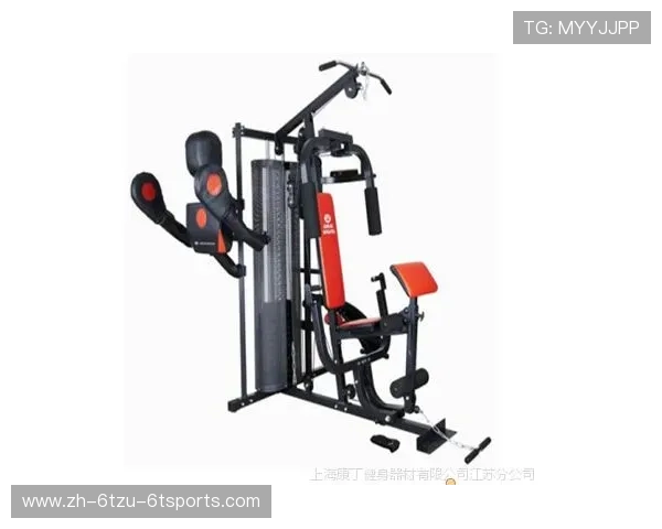 拳击运动专用健身器材特点与训练方式解析