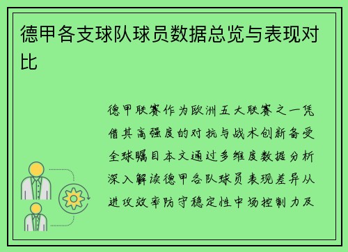 德甲各支球队球员数据总览与表现对比